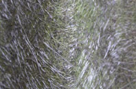 Rilla Mill fibreglass roof work